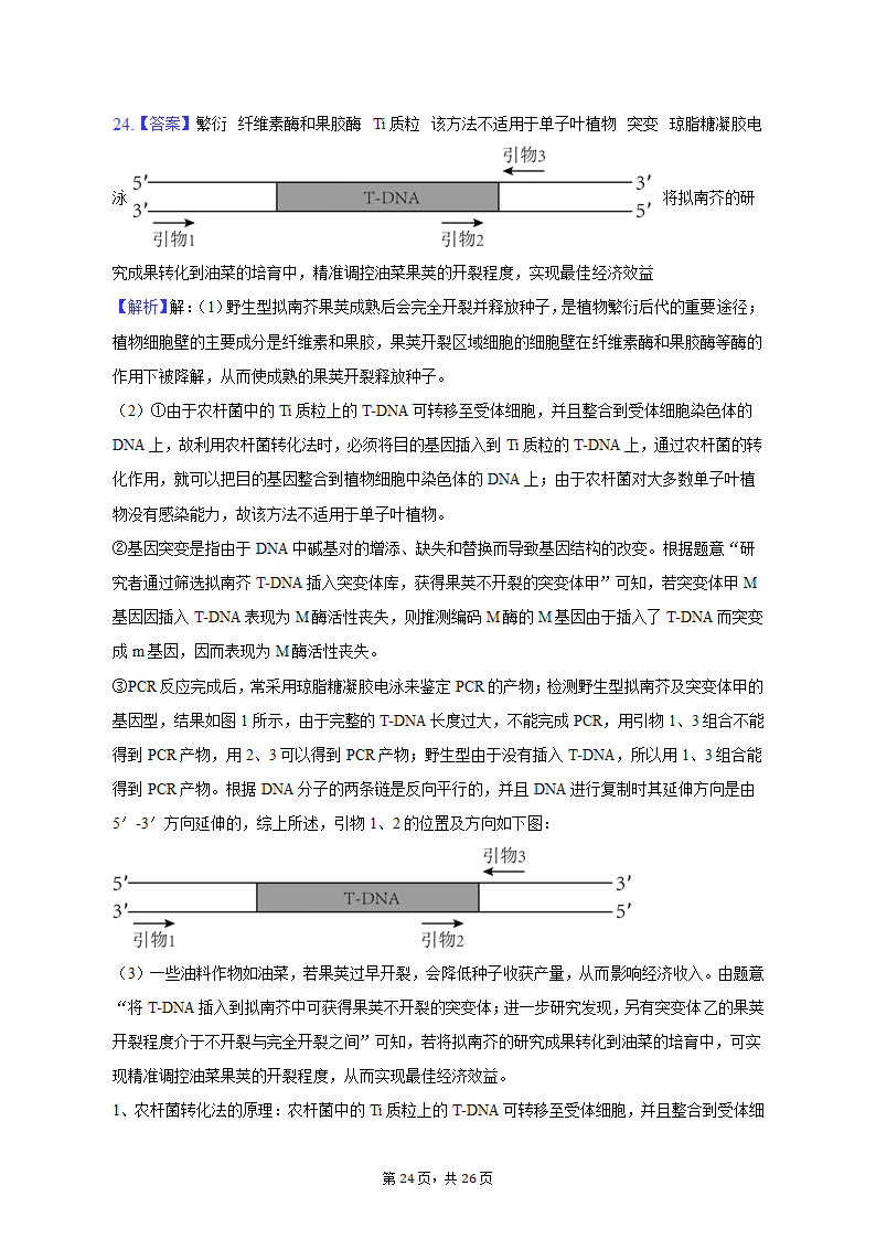 2023年辽宁省高考生物二模试卷-普通用卷（有解析）.doc第24页