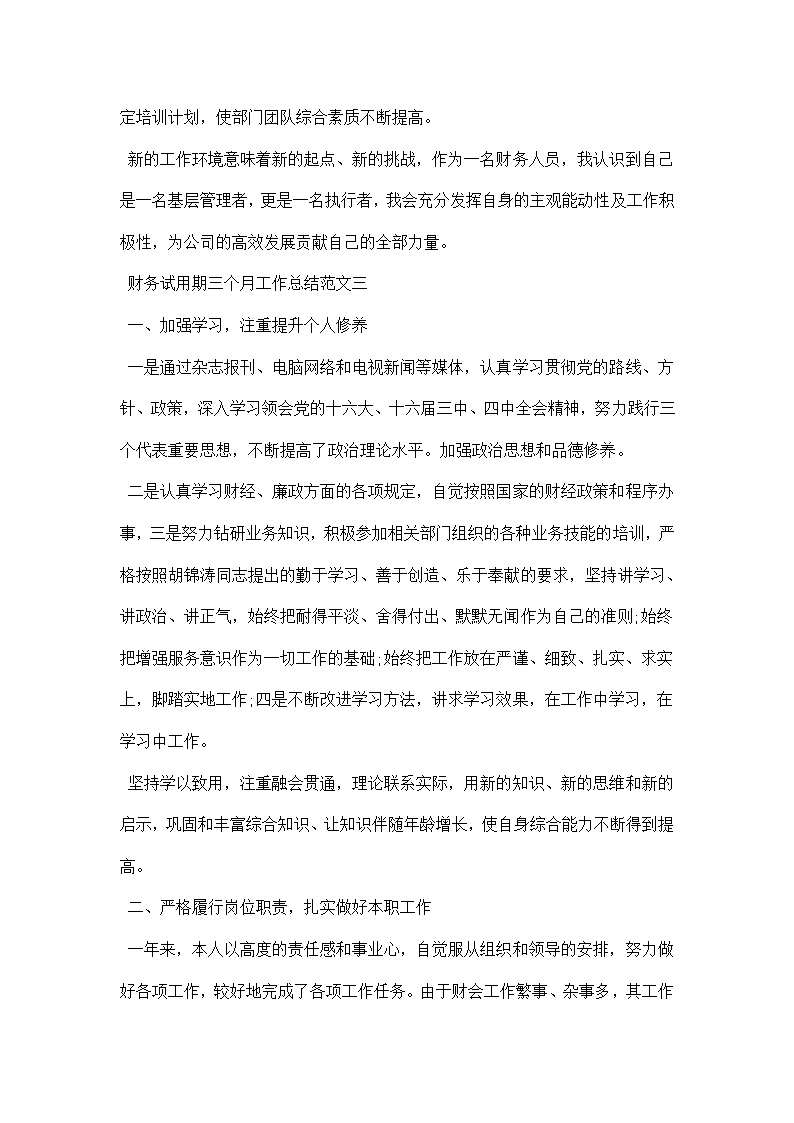 财务试用期三个月工作总结.docx第5页