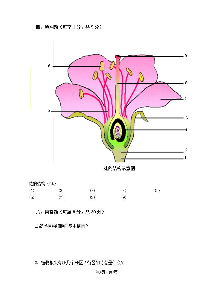 植物生产与环境试卷试卷第4页