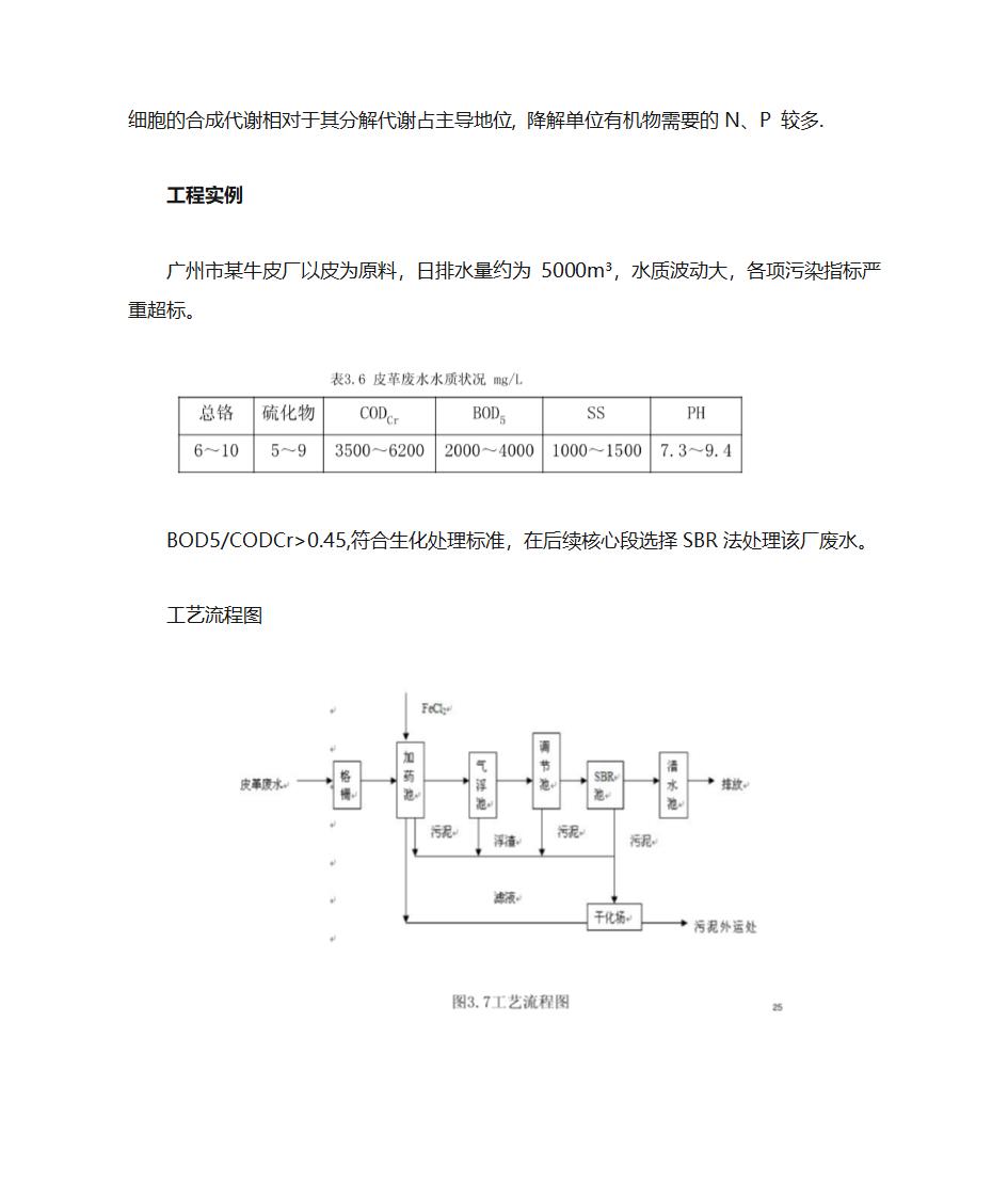 SBR工艺第5页