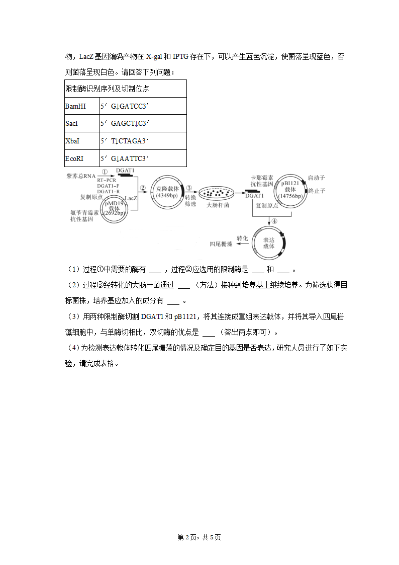 2023年湖南省名校联盟高考生物调研试卷（3月份）（含解析）.doc第2页