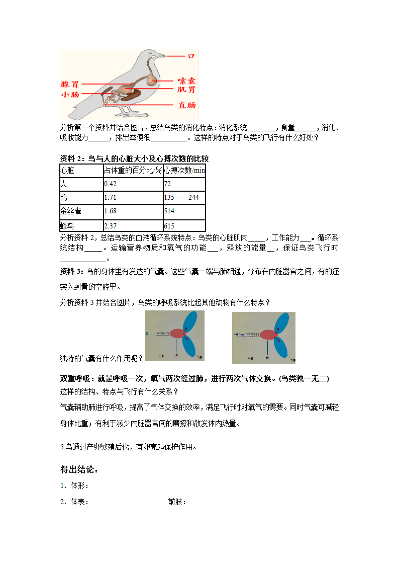 第六节  鸟（学案）.doc第3页