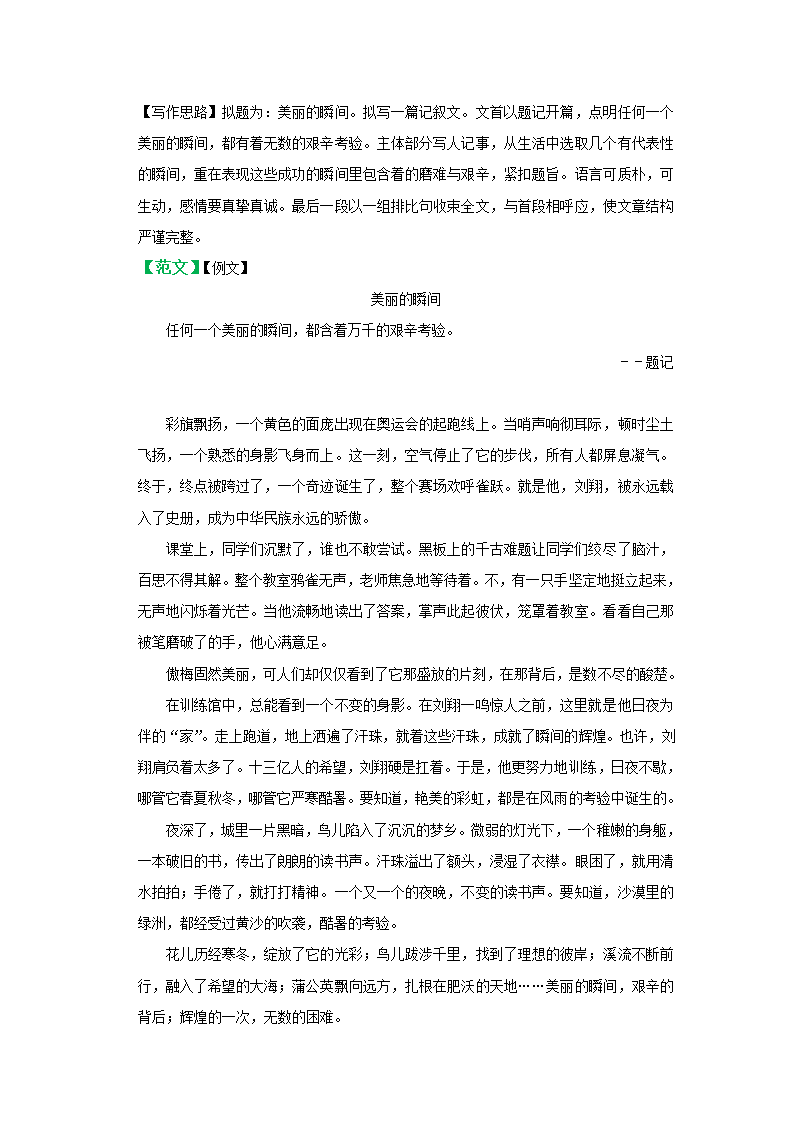 2021年广东中考语文专题复习：近11年中考真题作文分析   （含解析+范文）.doc第8页