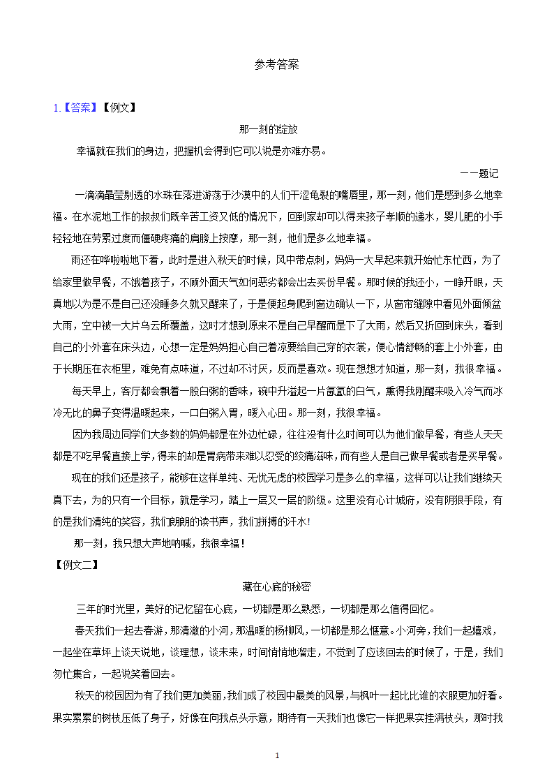 河北省2023年九年级中考备考语文专题复习：作文题（含解析及范文）.doc第10页