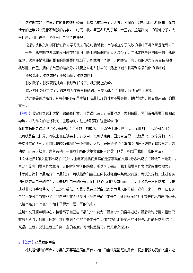 河北省2023年九年级中考备考语文专题复习：作文题（含解析及范文）.doc第12页