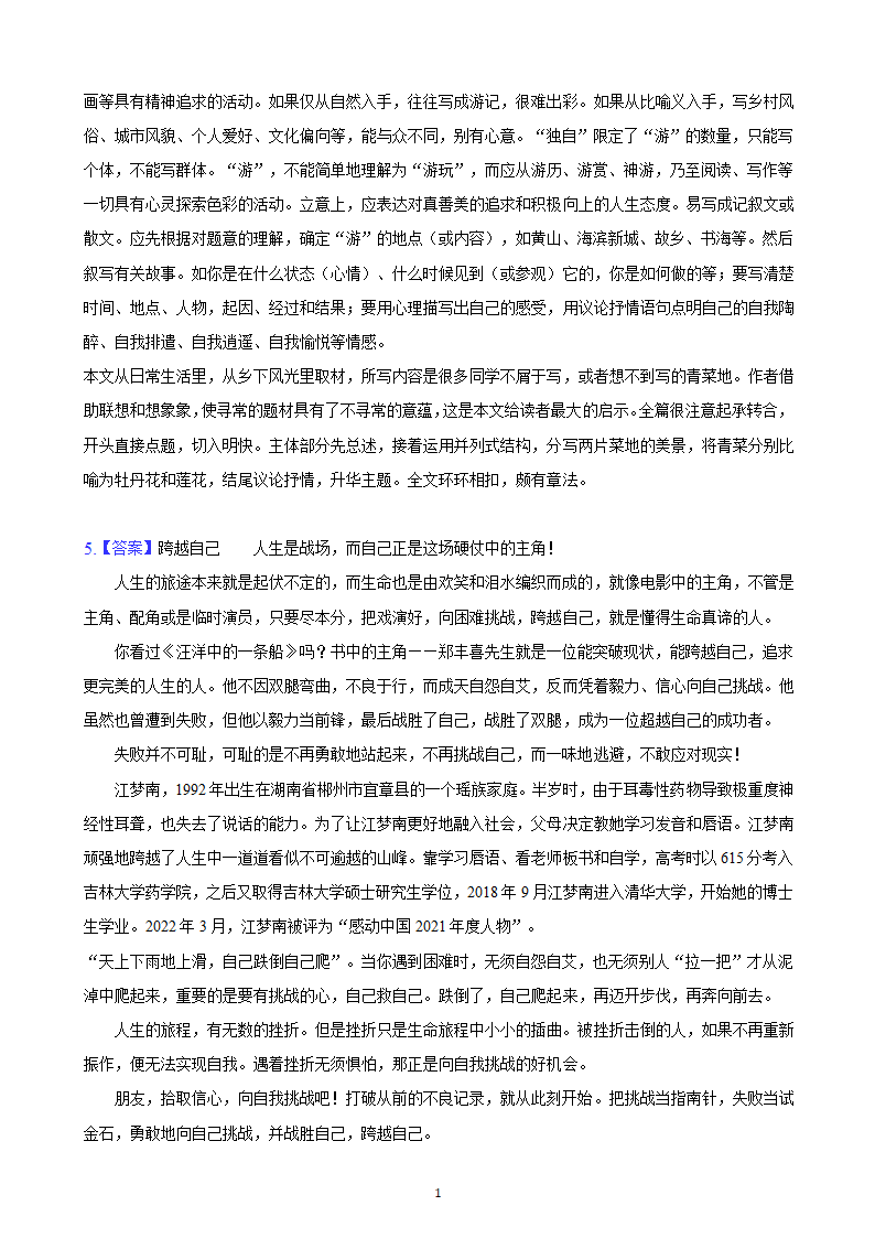 河北省2023年九年级中考备考语文专题复习：作文题（含解析及范文）.doc第15页