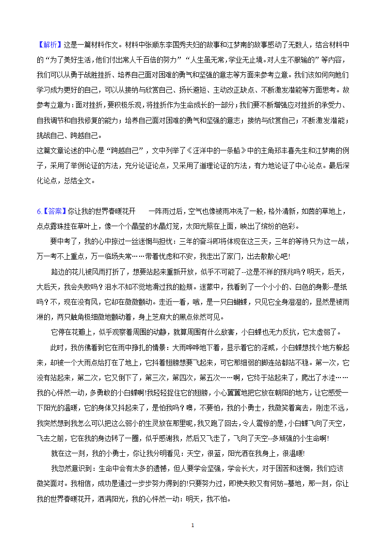 河北省2023年九年级中考备考语文专题复习：作文题（含解析及范文）.doc第16页