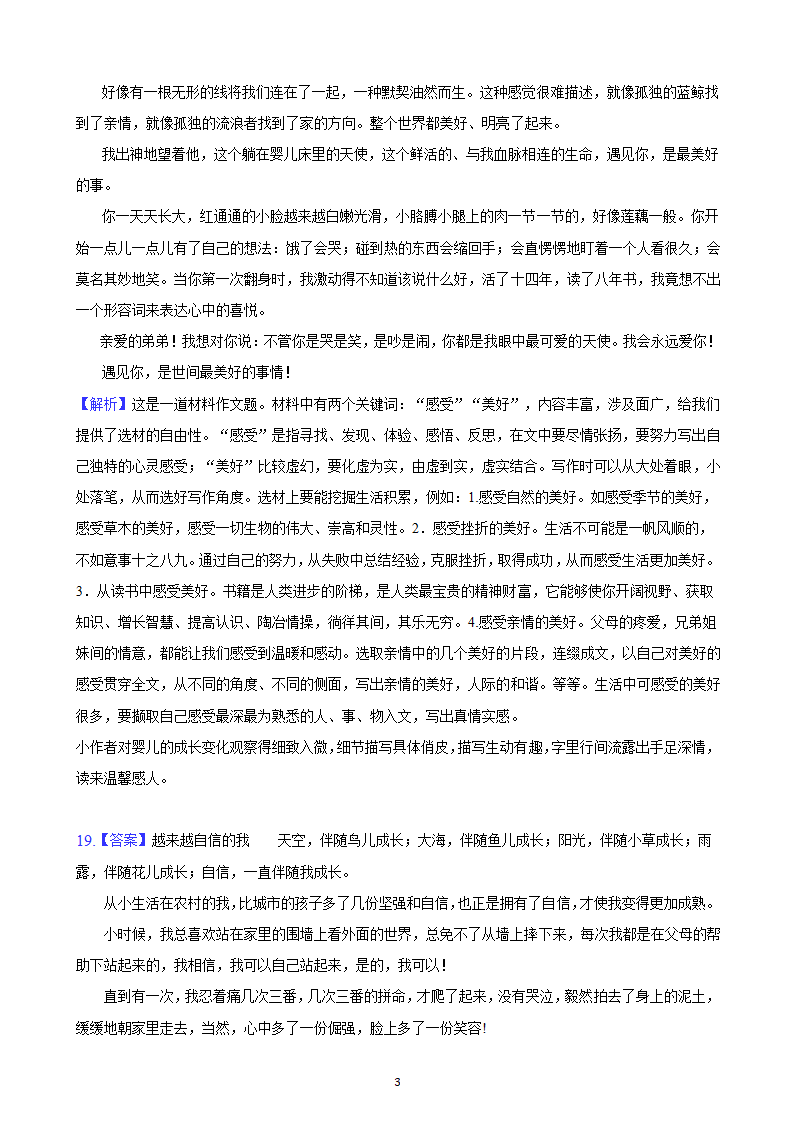 河北省2023年九年级中考备考语文专题复习：作文题（含解析及范文）.doc第30页