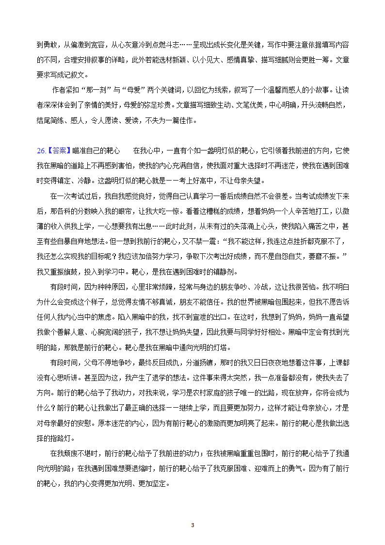 河北省2023年九年级中考备考语文专题复习：作文题（含解析及范文）.doc第39页