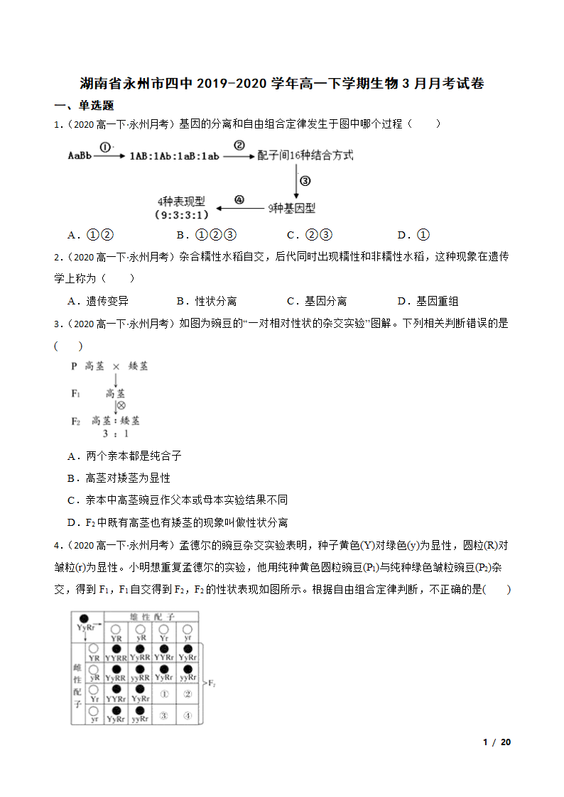 湖南省永州市四中2019-2020学年高一下学期生物3月月考试卷.doc