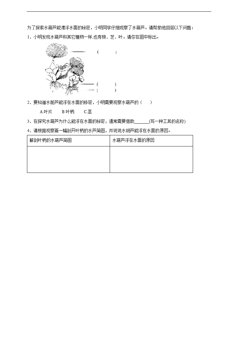 小学科学苏教版三年级下册《2.7 水里的植物》练习.docx第2页