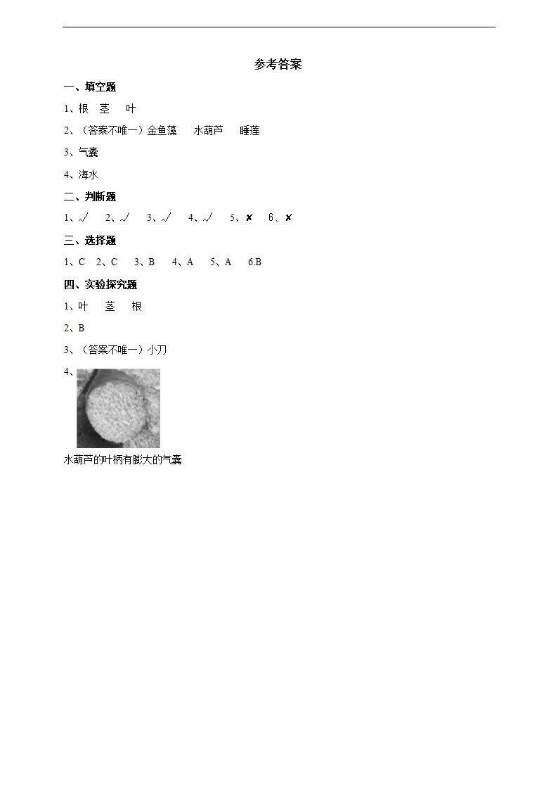 小学科学苏教版三年级下册《2.7 水里的植物》练习.docx第3页