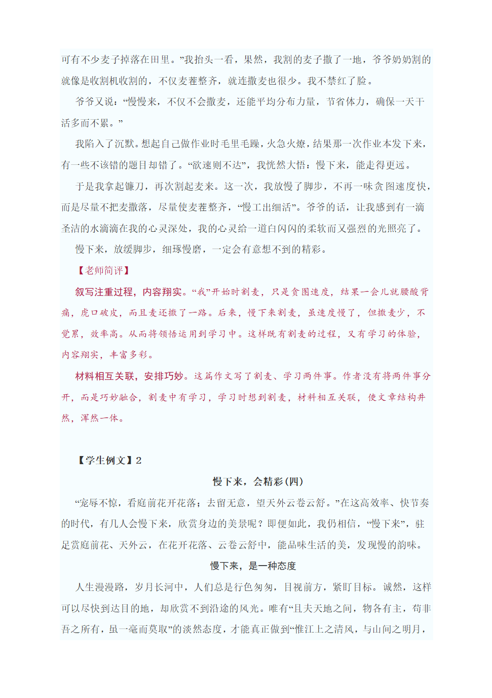 中考作文指导：“慢下来，会精彩”为题作文（附：审题指导及4篇范文点评）.doc第3页