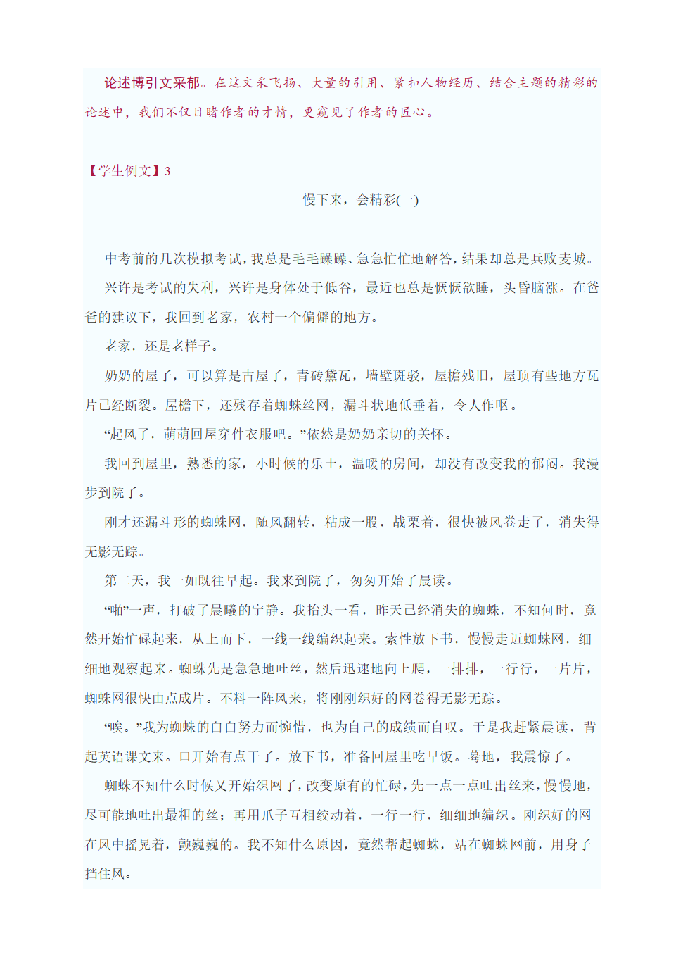 中考作文指导：“慢下来，会精彩”为题作文（附：审题指导及4篇范文点评）.doc第5页