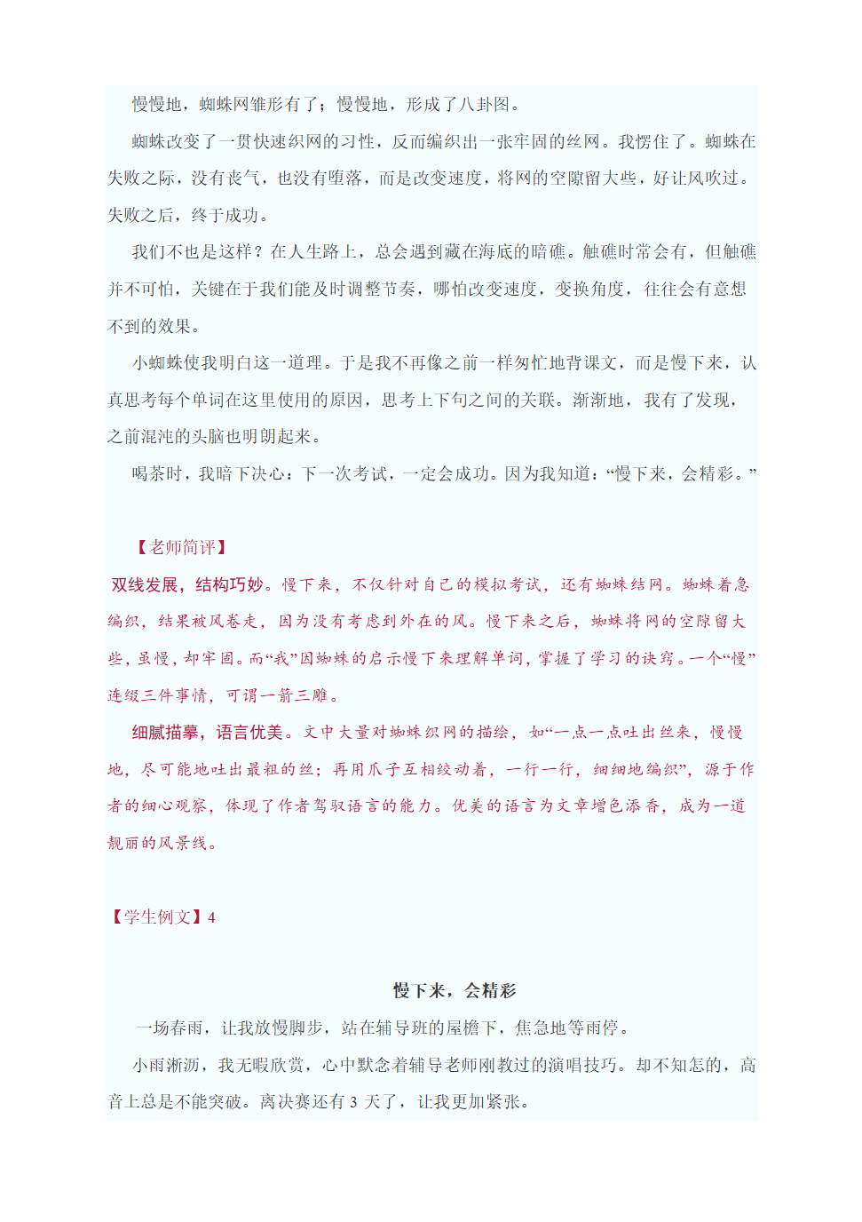 中考作文指导：“慢下来，会精彩”为题作文（附：审题指导及4篇范文点评）.doc第6页