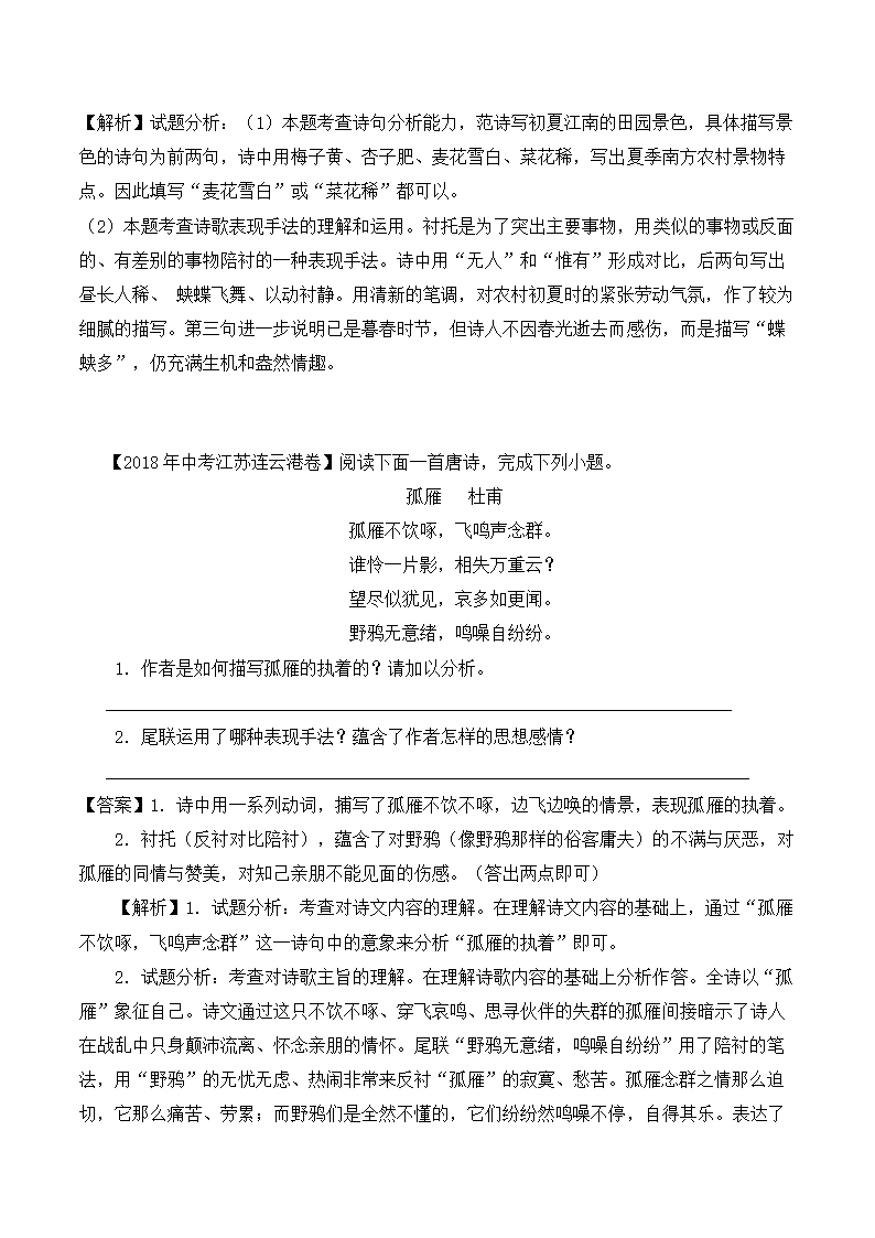 中考语文专题学案：古代诗歌赏析知识点及答题技巧.doc第7页