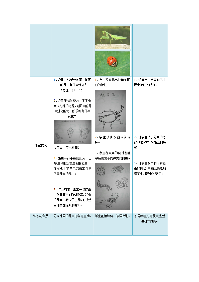 昆虫王国教案.doc第2页