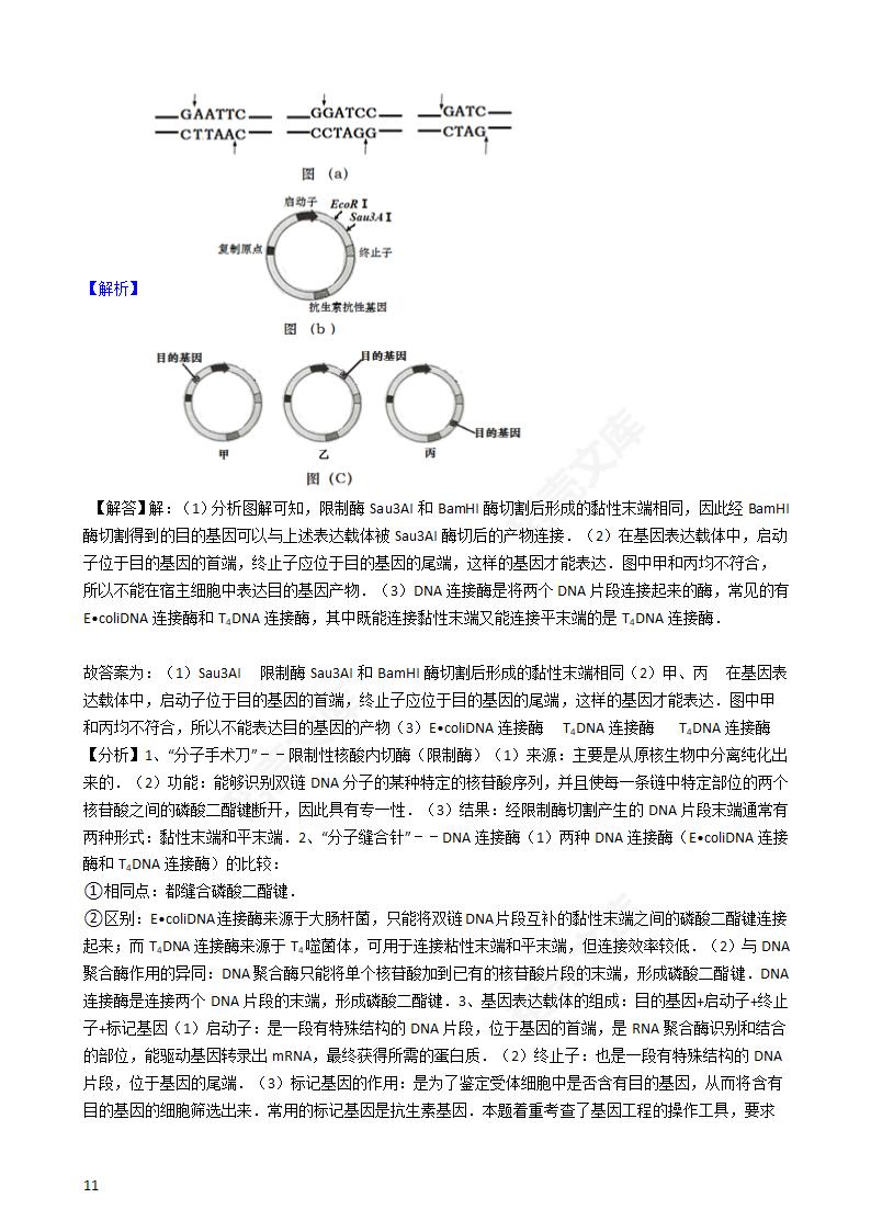 2016年高考理综真题试卷（生物部分）（新课标Ⅲ卷）(学生版).docx第11页