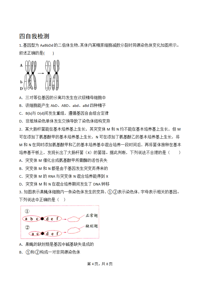 5.2染色体变异学案.doc第4页