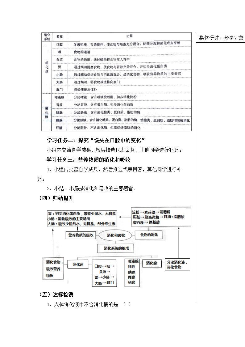 第二节 消化和吸收学案.doc第3页