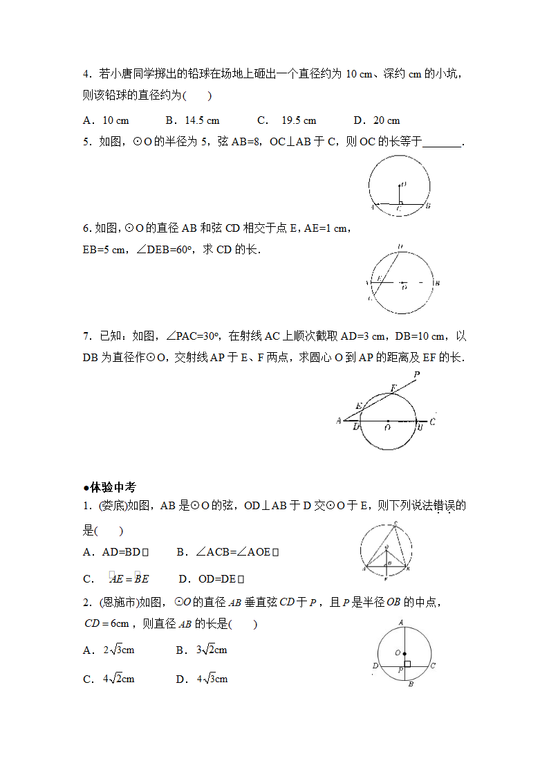 《垂径定理》分层练习.doc第3页