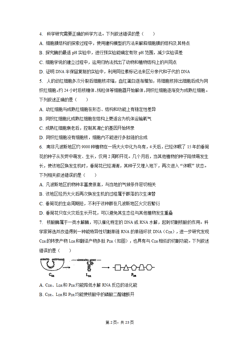 2023年广东省广州市黄埔区高考生物二模试卷（有解析）.doc第2页