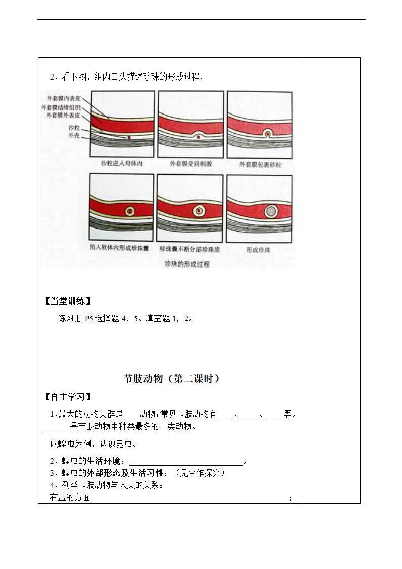 软体动物和节肢动物学案.doc第2页