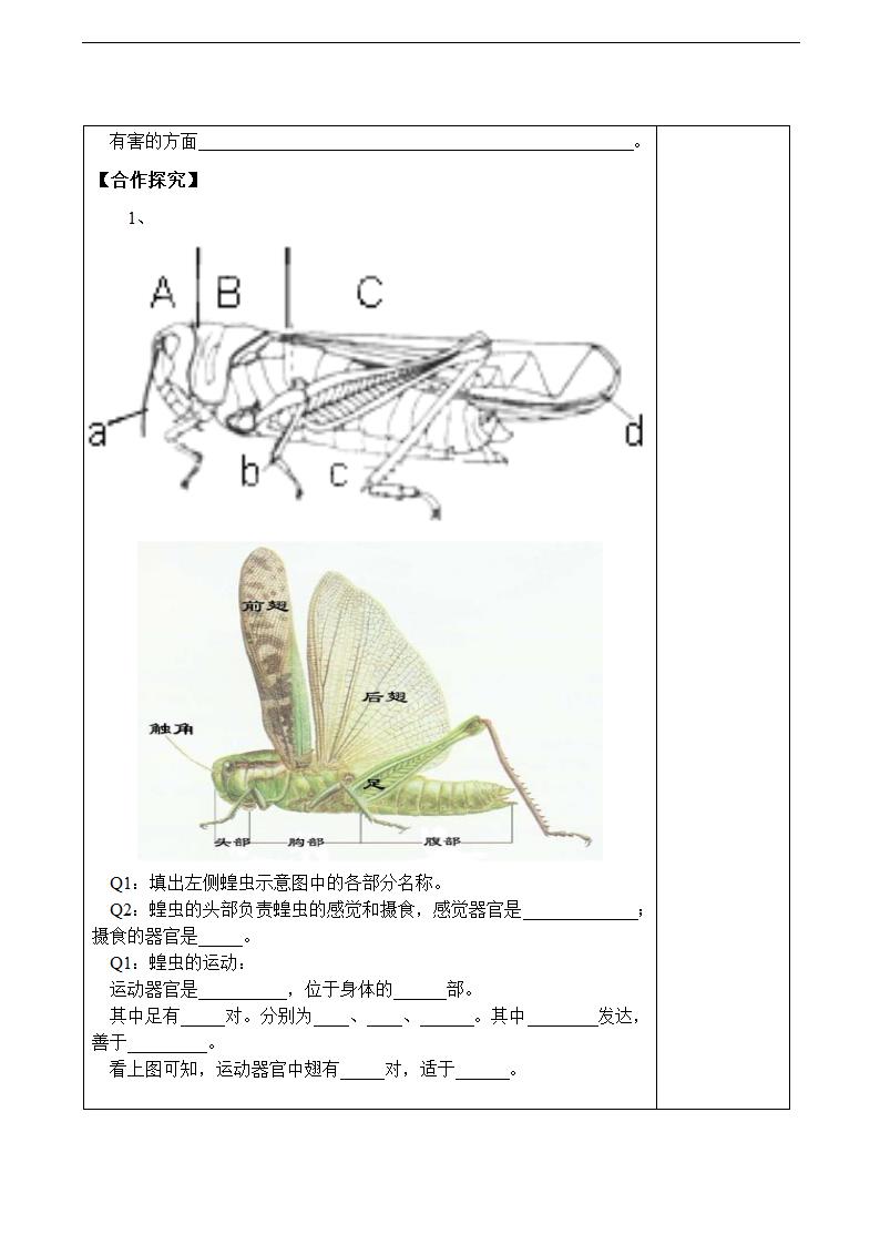 软体动物和节肢动物学案.doc第3页