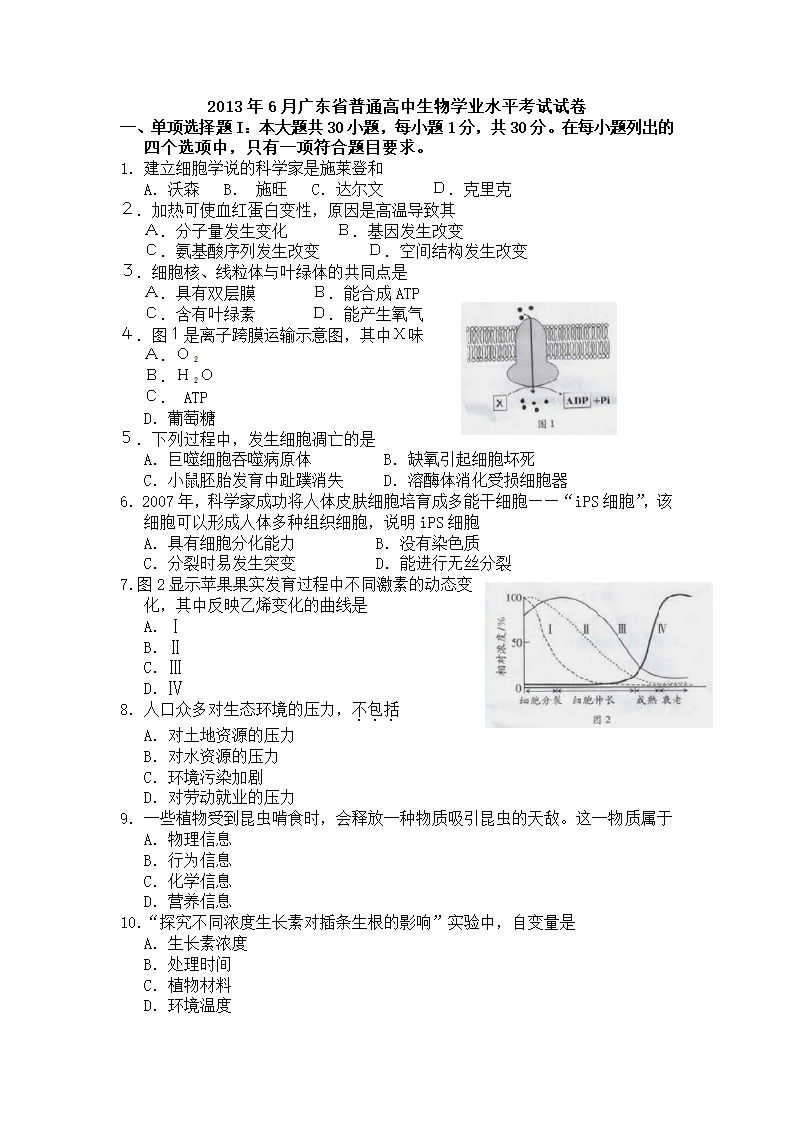 2013年广东学业水平测试生物试题(word)含答案第1页