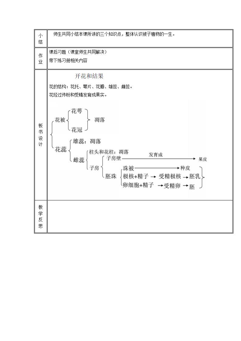 开花和结果教案.doc第3页