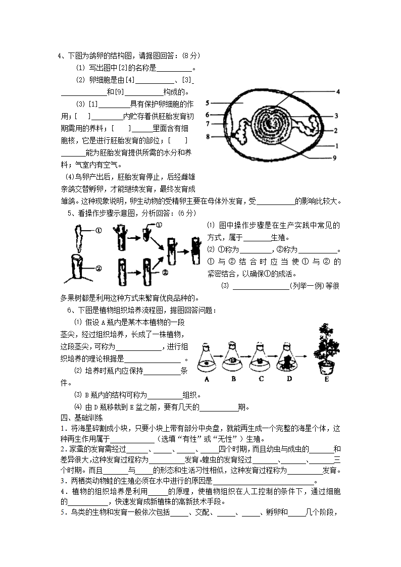 生物的生殖和发育复习学案.doc第2页