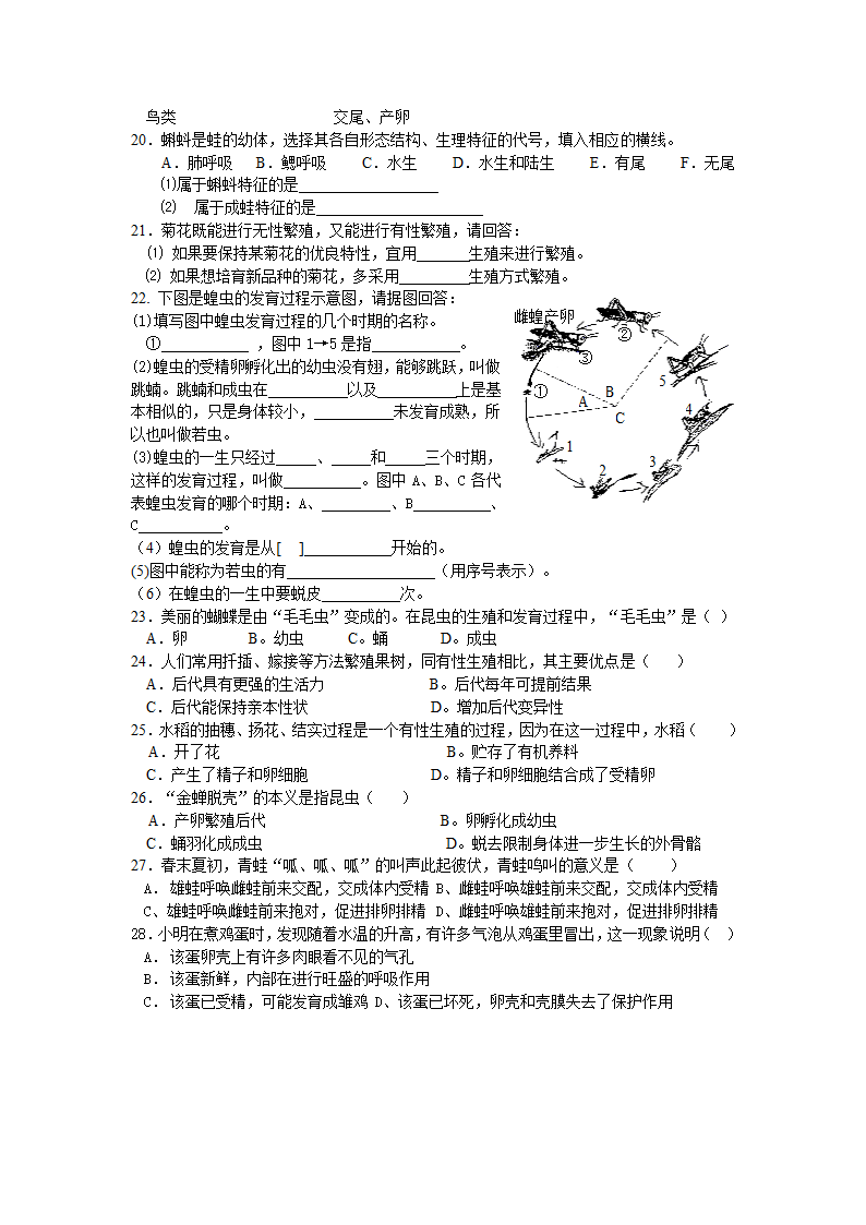 生物的生殖和发育复习学案.doc第4页