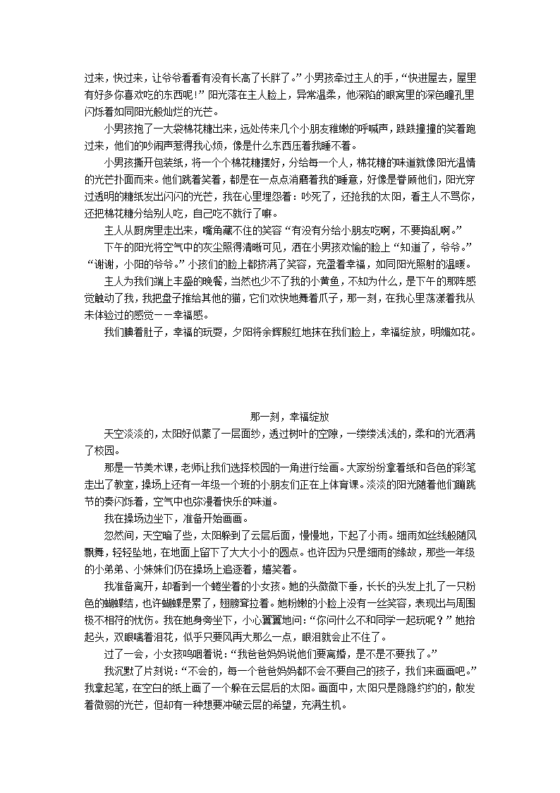 2013中考语文复习资料 作文评讲 那一刻幸福绽放素材.doc第5页