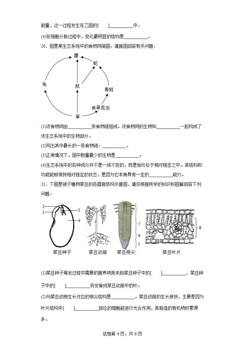 2022年甘肃省定西市中考一模生物试题(word版含答案).doc第4页