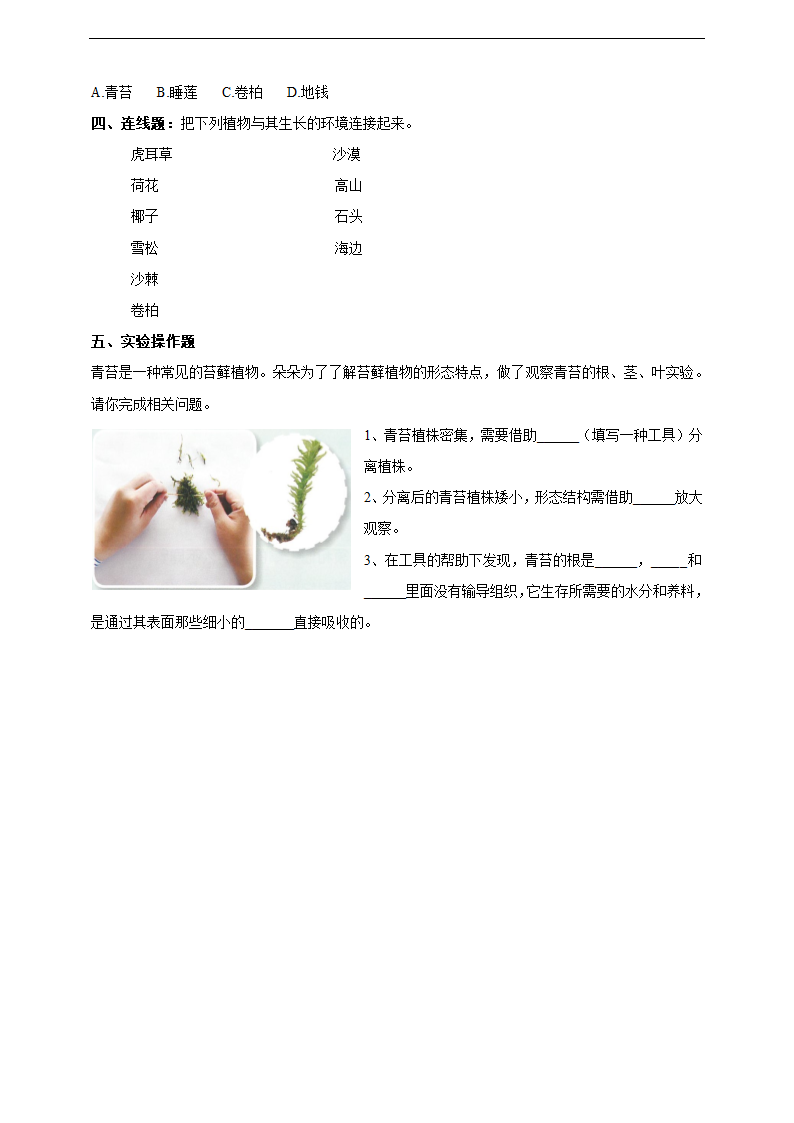 小学科学苏教版三年级下册《2.8 石头上的植物》练习.docx第2页