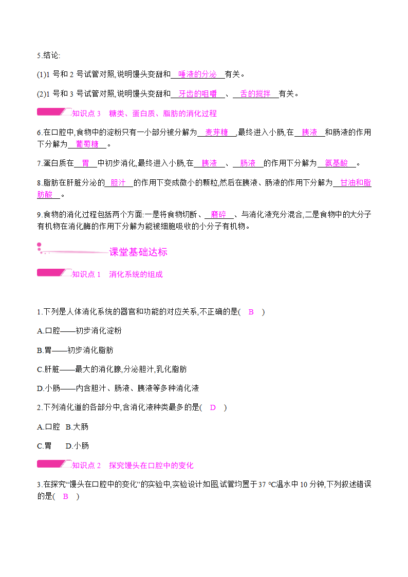 人教版七年级下册生物4.2.2 消化和吸收 第1课时 食物的消化 课时作业 （知识点+练习）.doc第2页