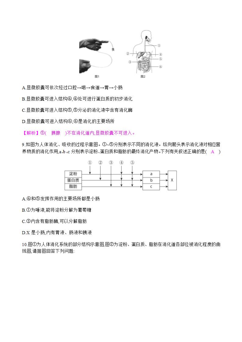 人教版七年级下册生物4.2.2 消化和吸收 第1课时 食物的消化 课时作业 （知识点+练习）.doc第6页