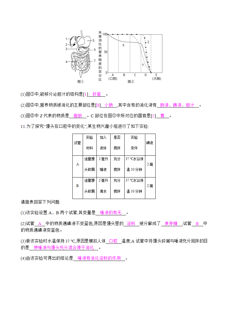 人教版七年级下册生物4.2.2 消化和吸收 第1课时 食物的消化 课时作业 （知识点+练习）.doc第7页