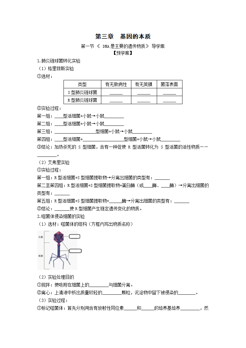 《3.1 DNA是主要的遗传物质》导学案02.docx第1页