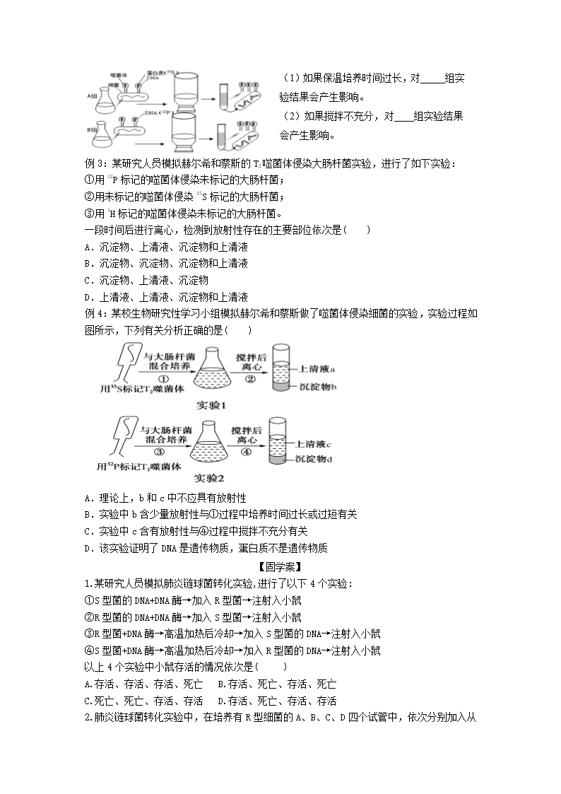 《3.1 DNA是主要的遗传物质》导学案02.docx第3页