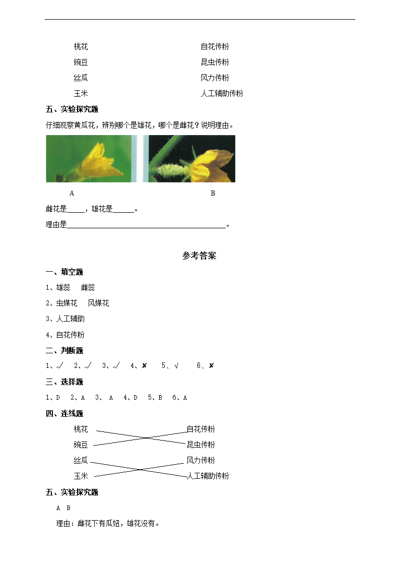 小学科学苏教版三年级下册《1.3 植物开花了》练习.docx第2页