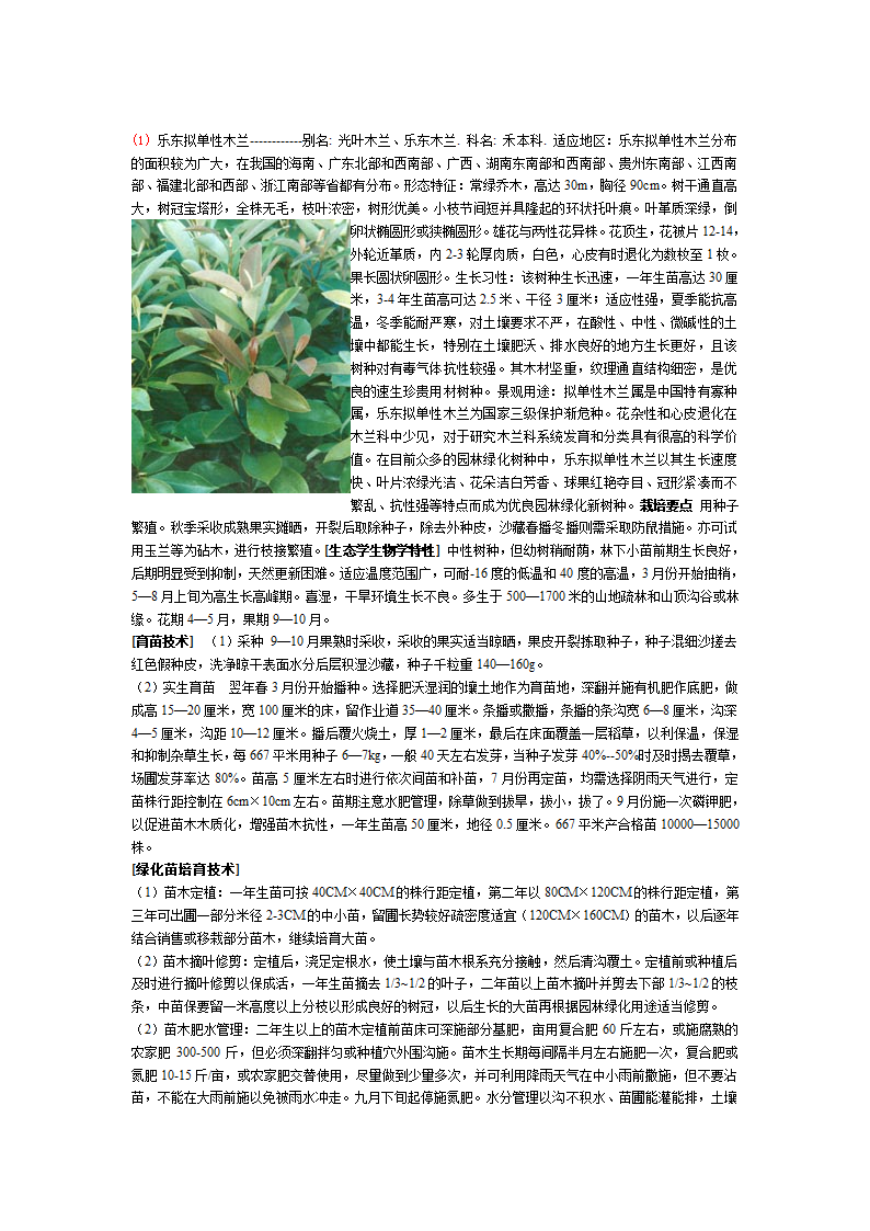 植物名录2.doc第1页