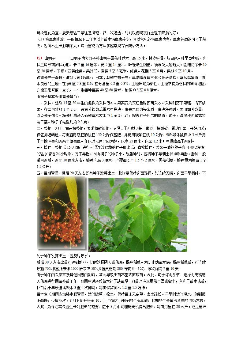 植物名录2.doc第2页