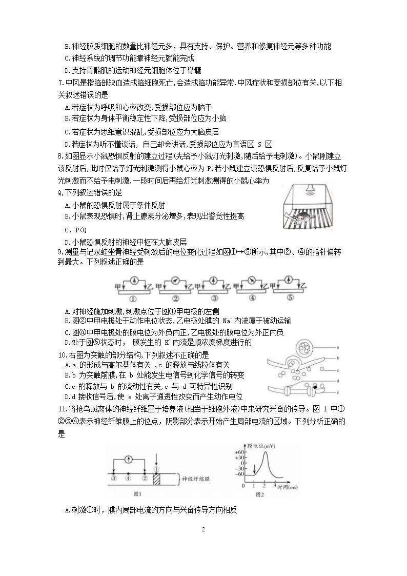 山东省2022-2023学年高二生物上学期第一次月考试卷（Word版含答案）.doc第2页