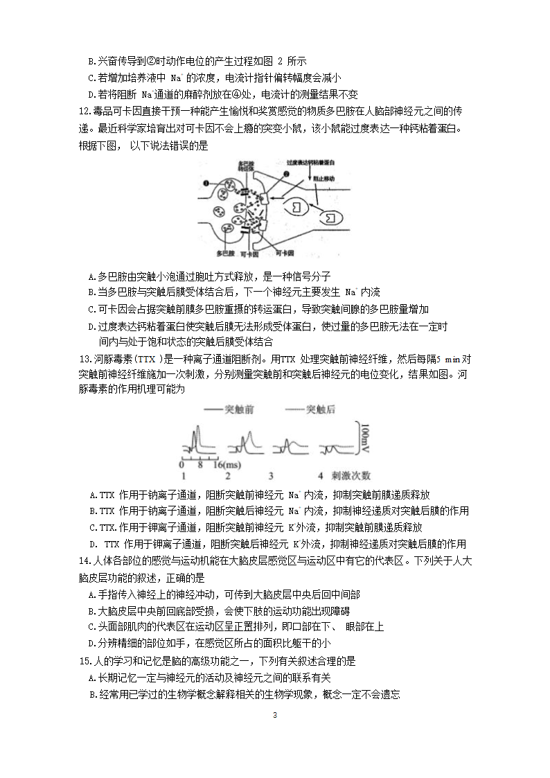 山东省2022-2023学年高二生物上学期第一次月考试卷（Word版含答案）.doc第3页