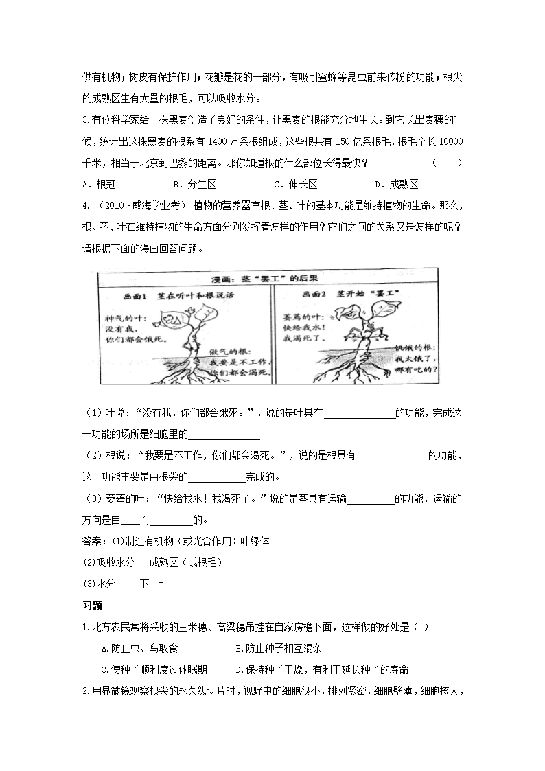 营养器官的生长复习学案.doc第3页