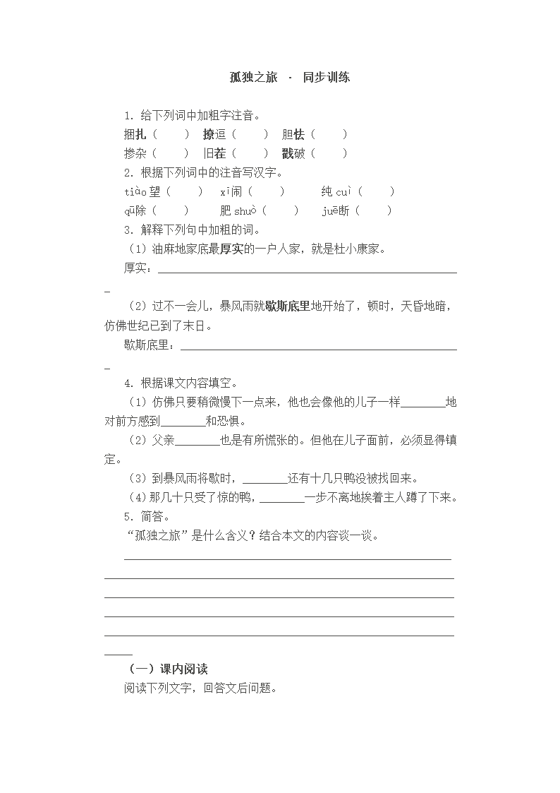 《孤独之旅》同步练习.doc第1页