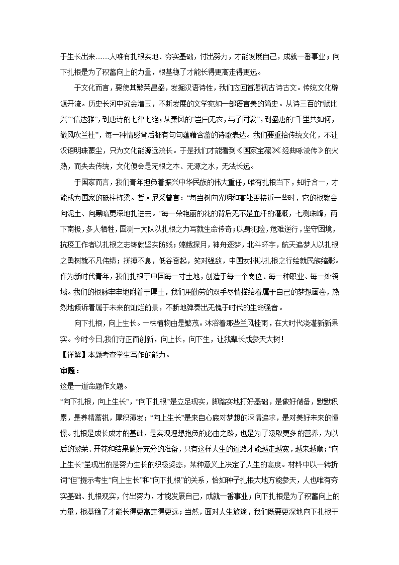 2024届高考语文复习：作文主题训练向下扎根，向阳生长.doc第9页