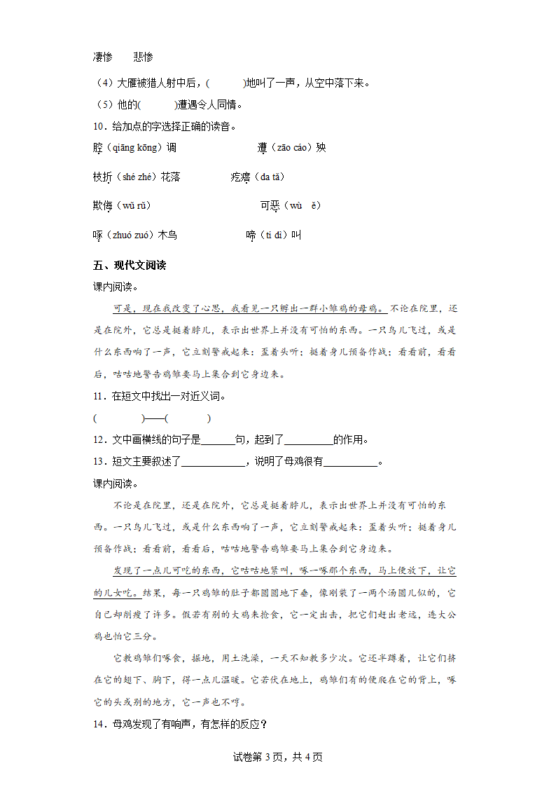 14.母鸡（同步练习）.doc第3页