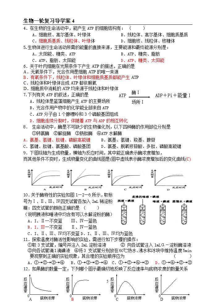 酶与ATP导学案.doc第5页